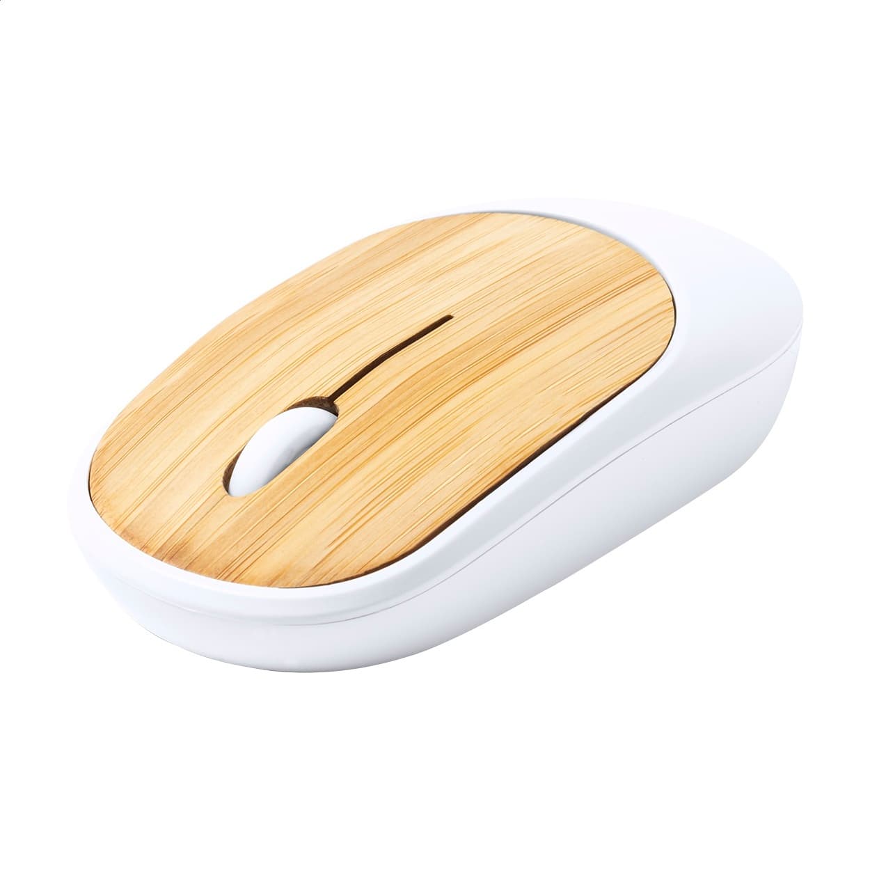 Sikkim - mouse optic
