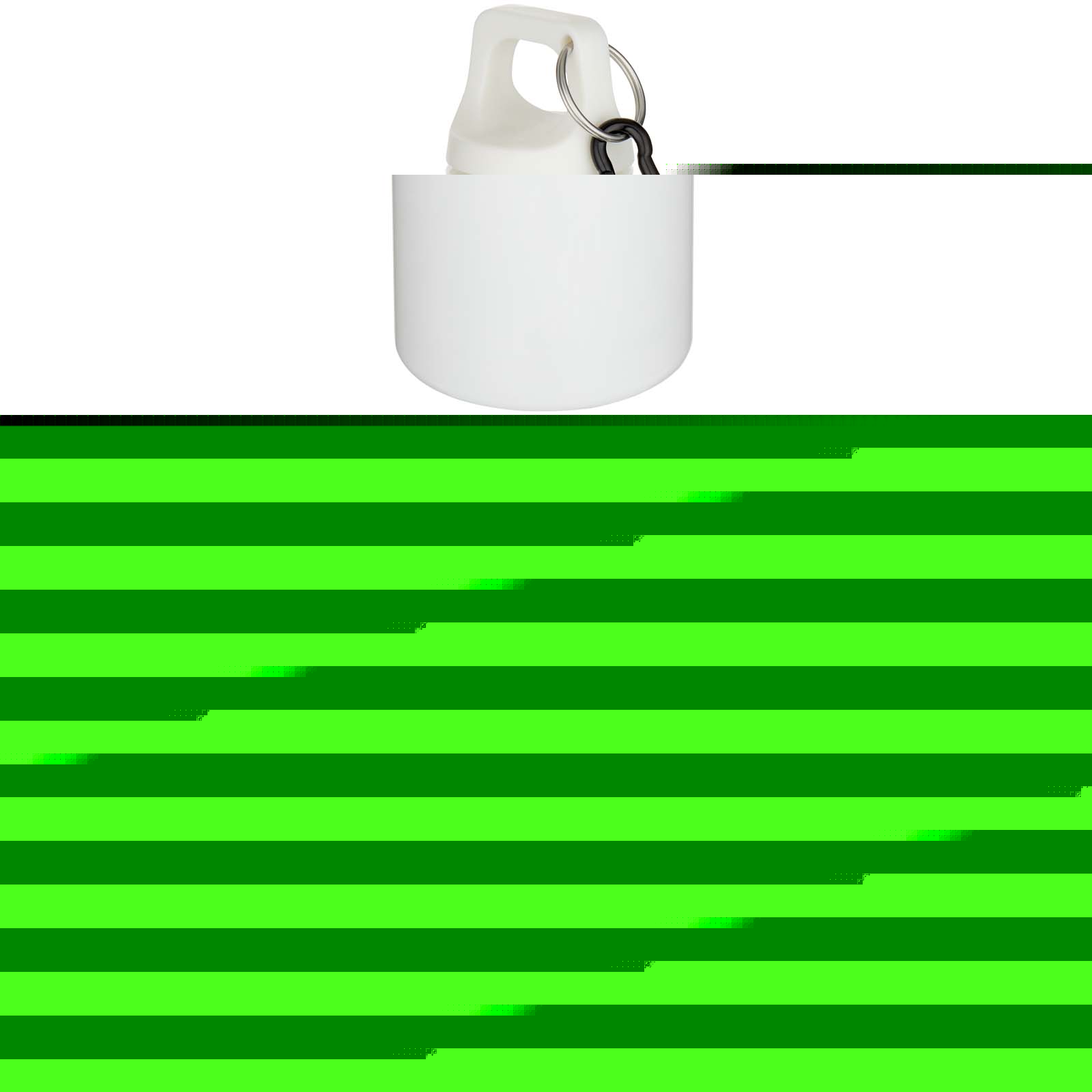 Sticlă de apă Oregon din plastic reciclat RCS într-o singură culoare, cu carabină, 750 ml