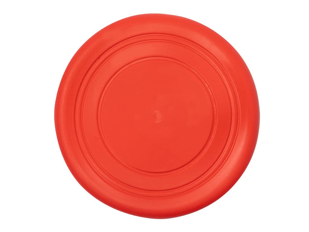 Frisbee Girud
